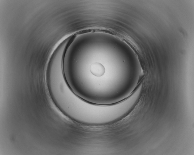 X0000113601084200909181347