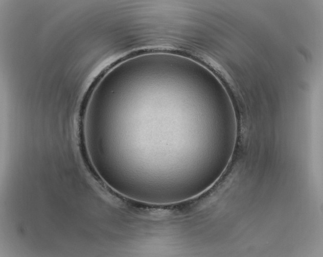 X0000113601085200909181347