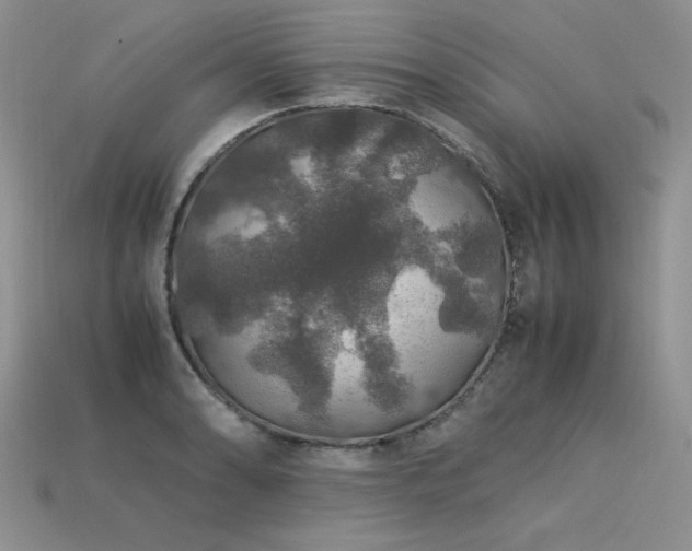 X0000113601086200909181347