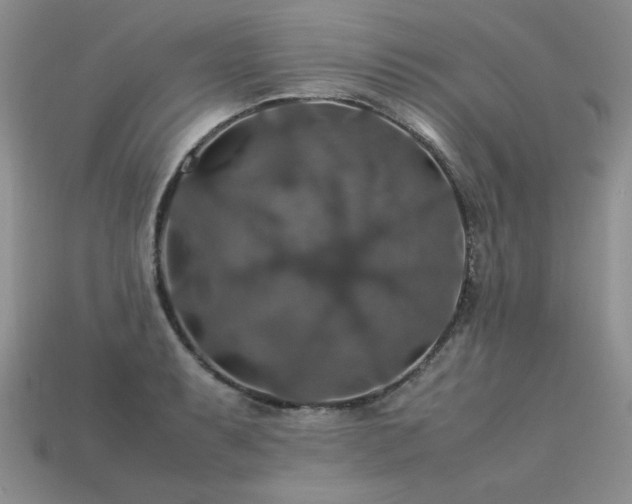 X0000113601087200909181347