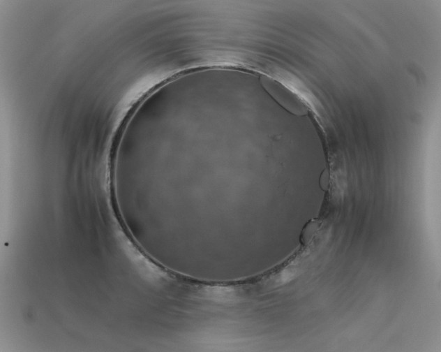 X0000113601088200909181347