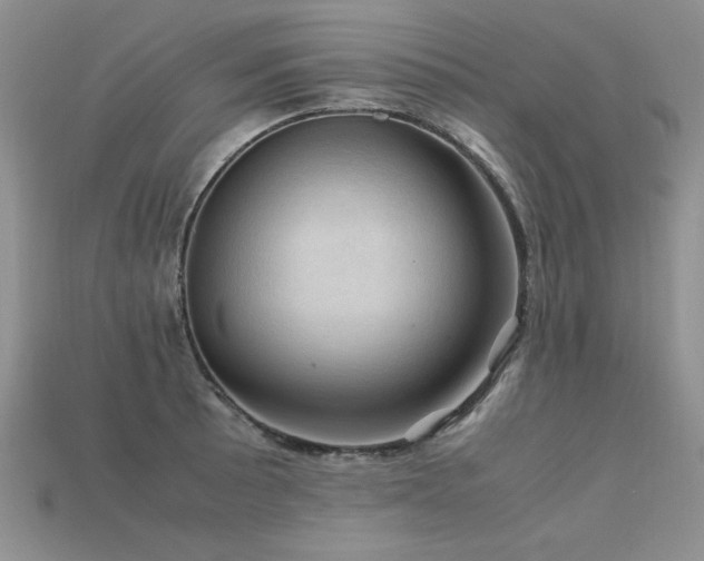 X0000113601089200909181347