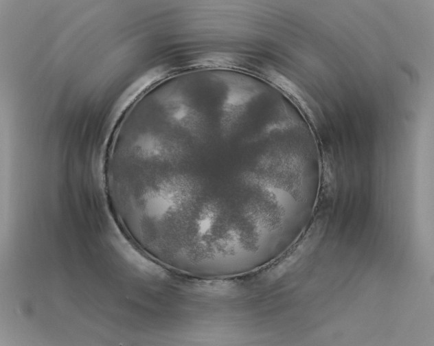 X0000113601090200909181347