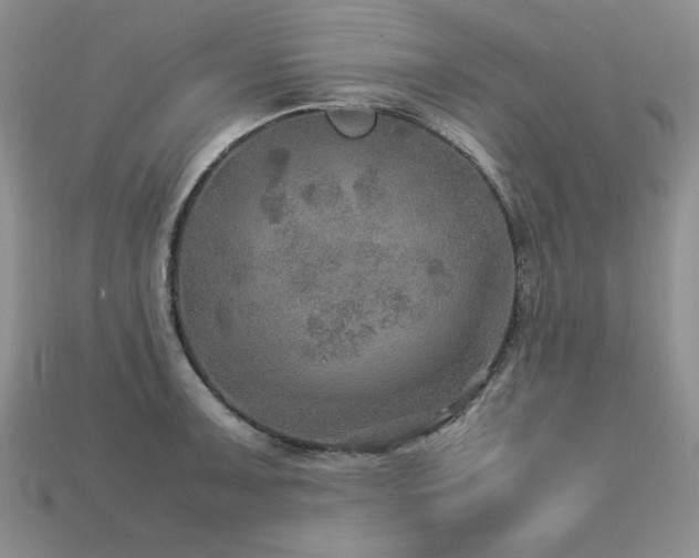 X0000113601091200909181347