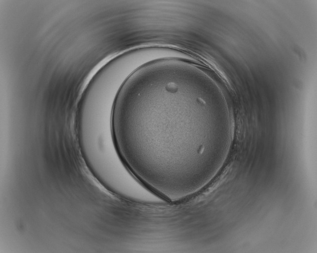 X0000113601092200909181347