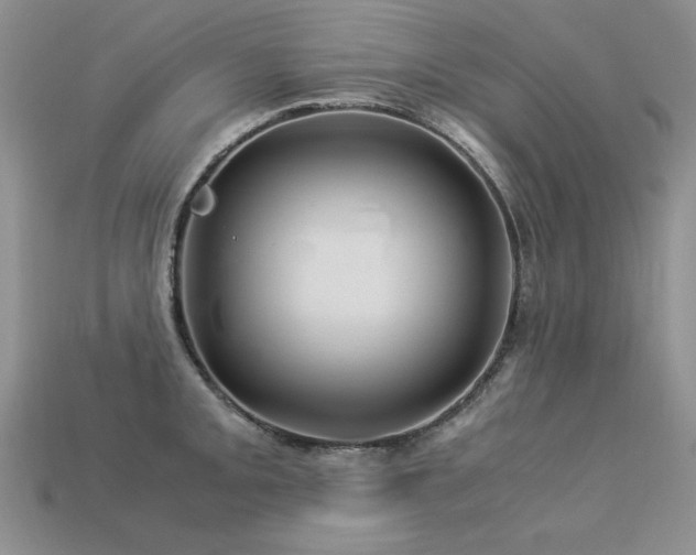 X0000113601093200909181347