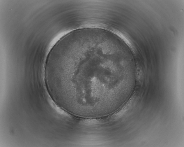 X0000113601094200909181347