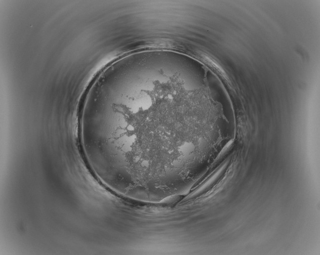 X0000113601095200909181347