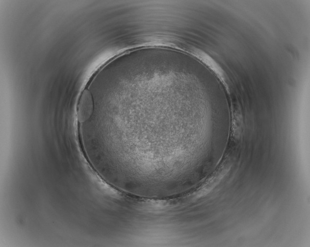 X0000113601096200909181347