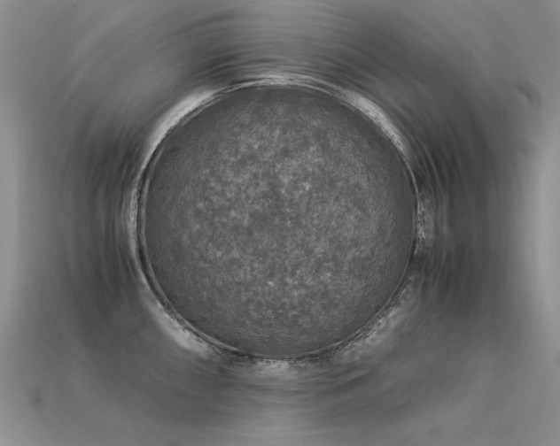 X0000113601098200909181347