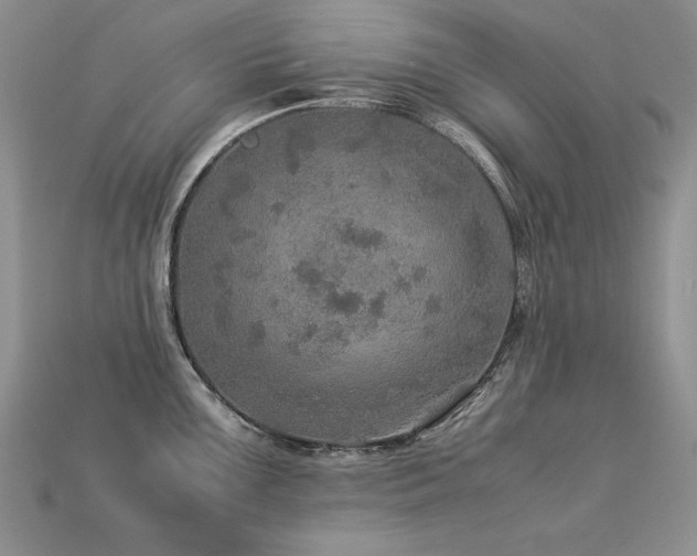 X0000113601099200909181347