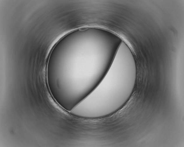 X0000113601100200909181347