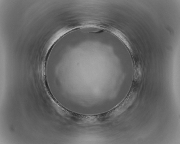 X0000113601101200909181347