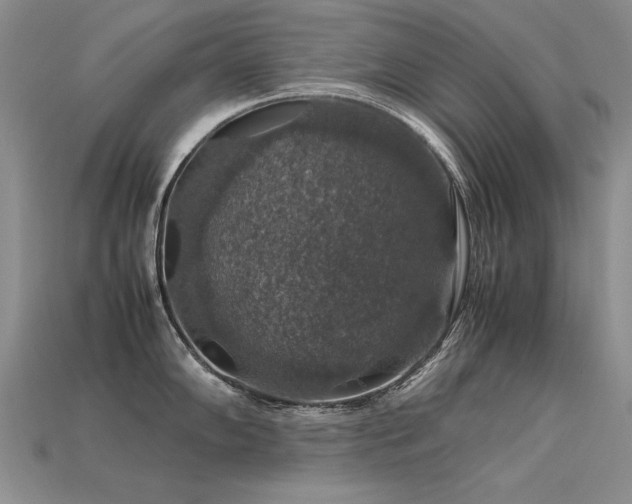 X0000113601102200909181347