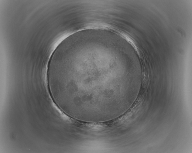 X0000113601103200909181347