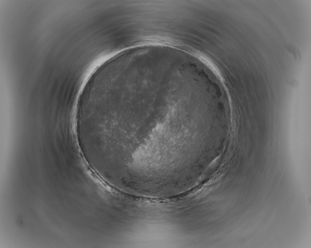 X0000113601104200909181347