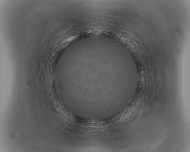 X0000113601105200909181346