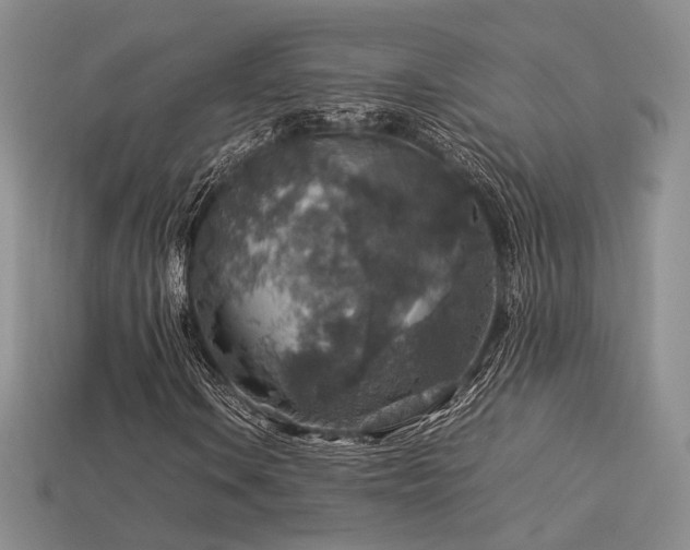 X0000113601106200909181346