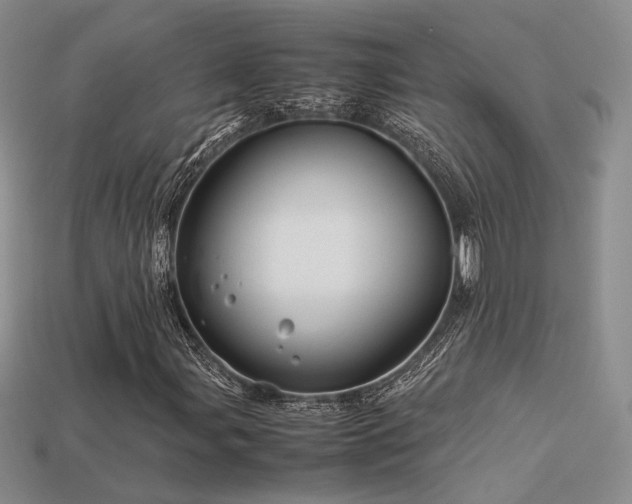 X0000113601107200909181346