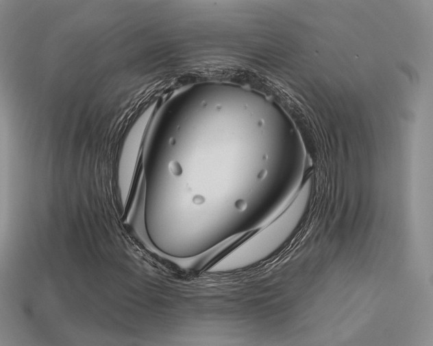 X0000113601108200909181346