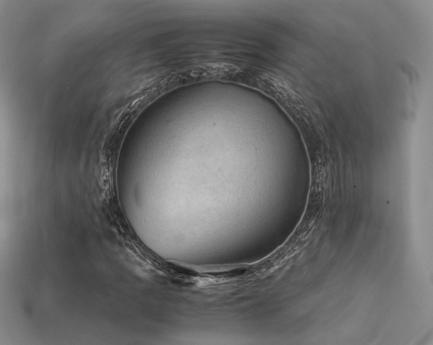 X0000113601109200909181346