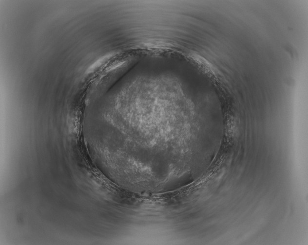 X0000113601110200909181346