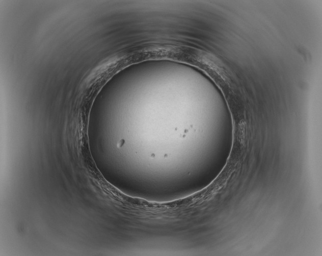 X0000113601111200909181346