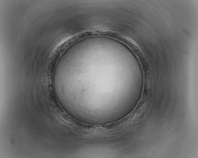 X0000113601112200909181346