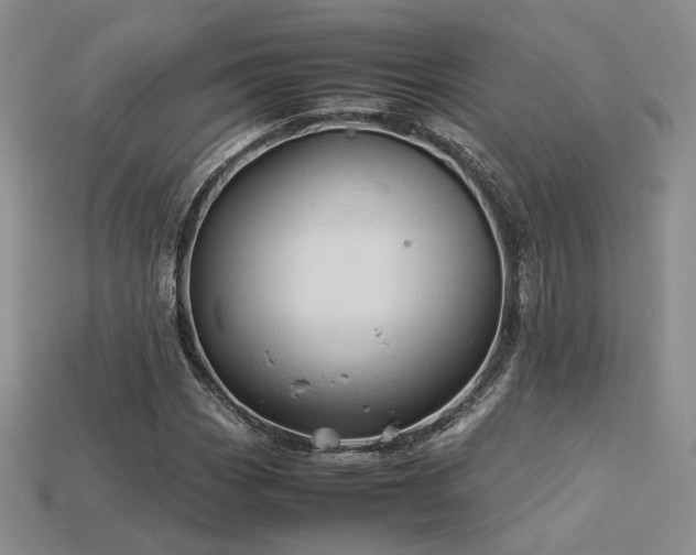 X0000113601113200909181346