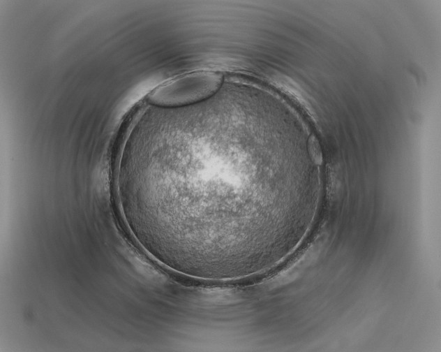 X0000113601114200909181346