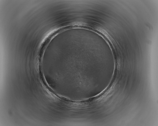 X0000113601115200909181346