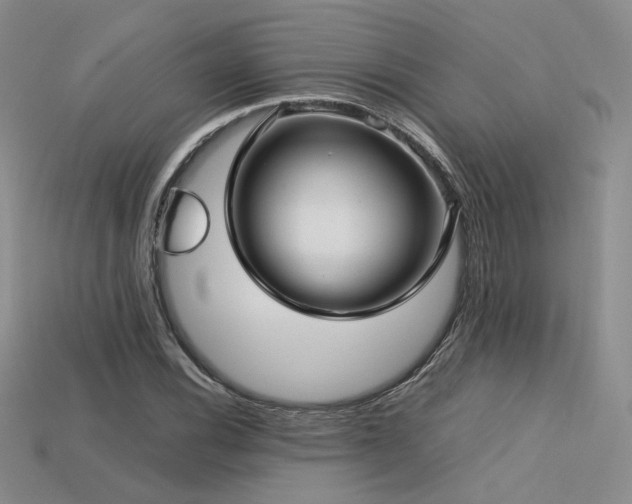 X0000113601116200909181346