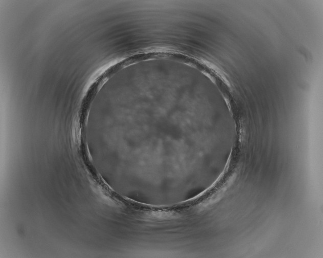 X0000113601117200909181346