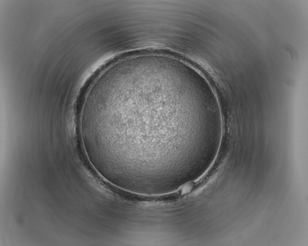 X0000113601118200909181346