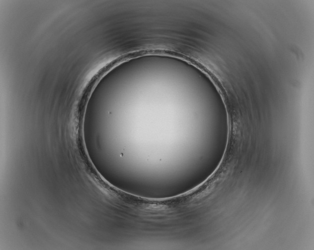 X0000113601119200909181346