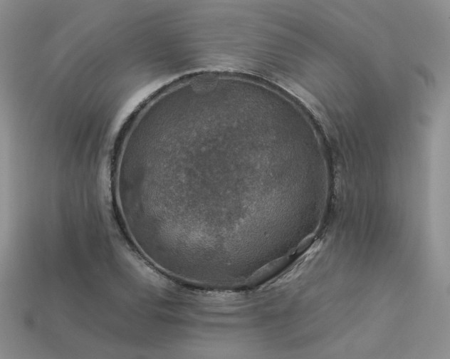 X0000113601120200909181346