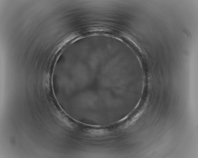 X0000113601121200909181346