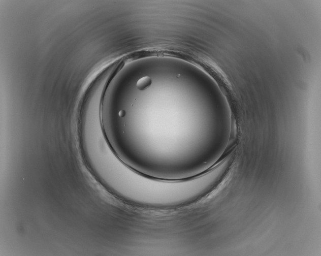 X0000113601122200909181346