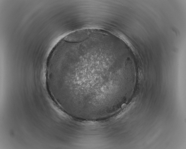 X0000113601124200909181346