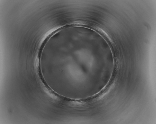 X0000113601125200909181346