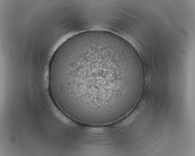 X0000113601126200909181346