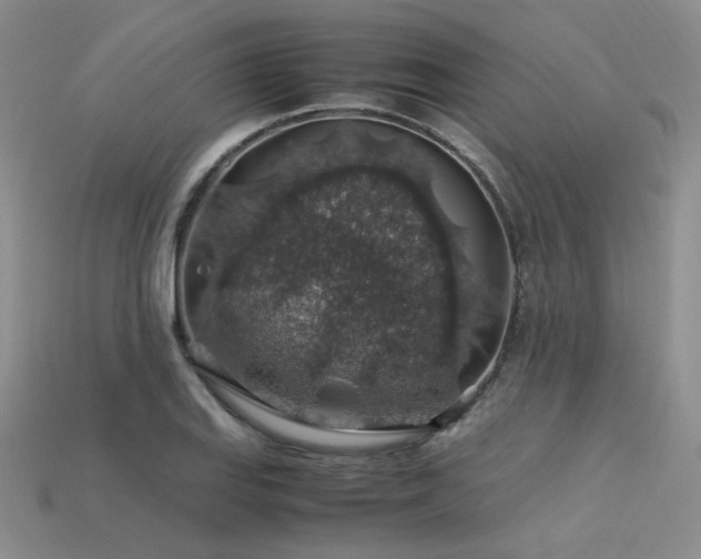 X0000113601127200909181346