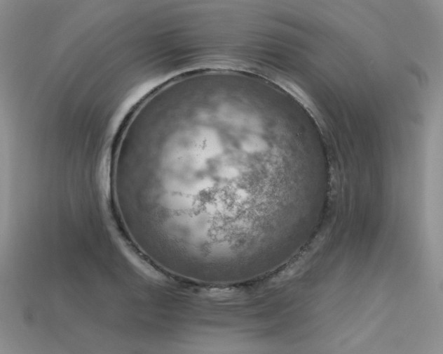 X0000113601128200909181346