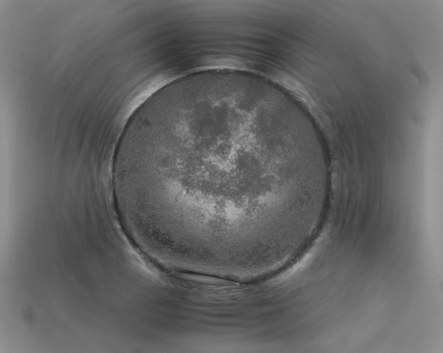 X0000113601129200909181346