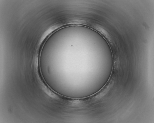 X0000113601130200909181346