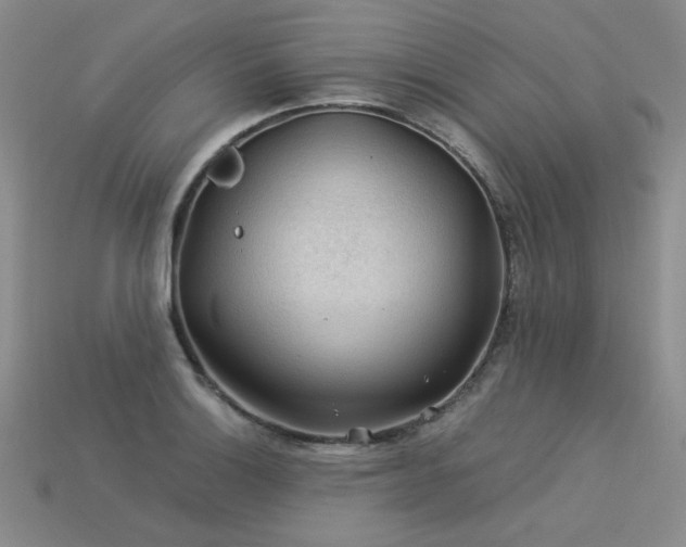 X0000113601132200909181346