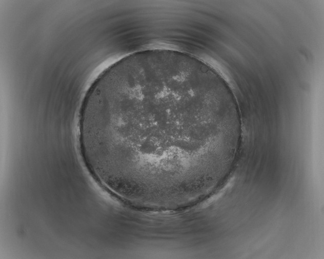 X0000113601133200909181346