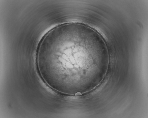 X0000113601134200909181346