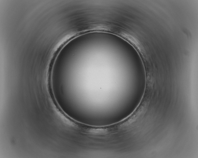 X0000113601135200909181346