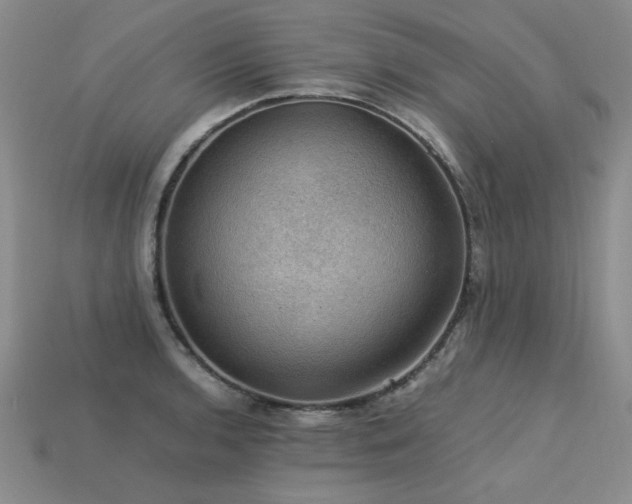 X0000113601136200909181346